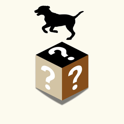 Mysterybox