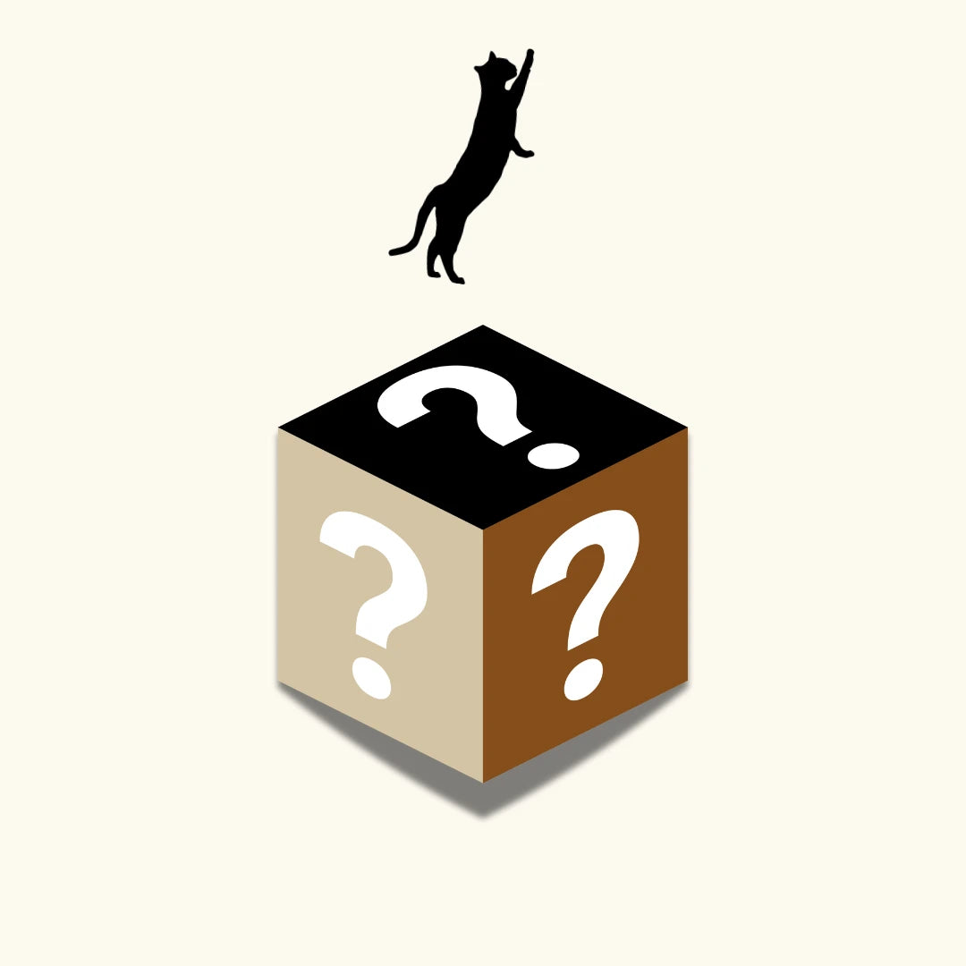 Mysterybox