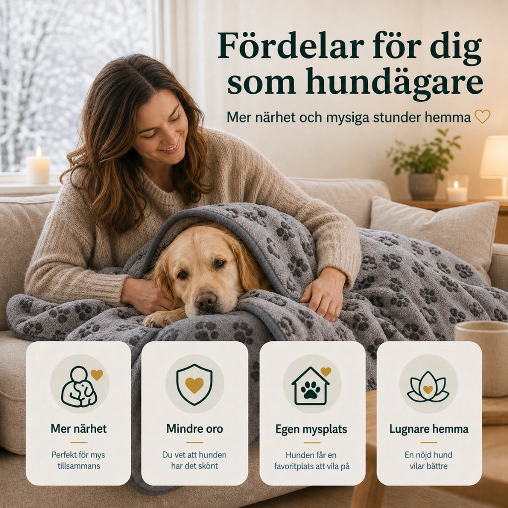 Fördelar med Nordvarm Mysfilt för dig som djurägare - Djurslottet