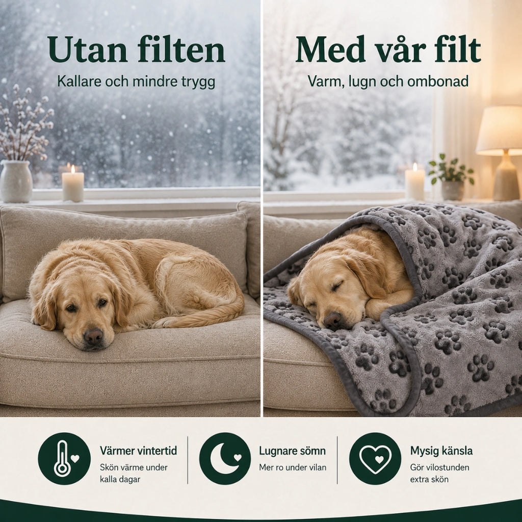 Före och efter med Nordvarm Mysfilt i soffan - Djurslottet