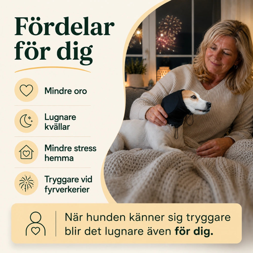 Fördelar med öronskydd, mindre oro och lugnare kvällar - Djurslottet