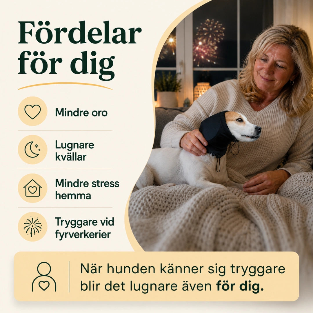 Fördelar med öronskydd, mindre oro och lugnare kvällar - Djurslottet