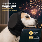 Öronskydd som ger trygghet vid smällar och fyrverkerier - Djurslottet