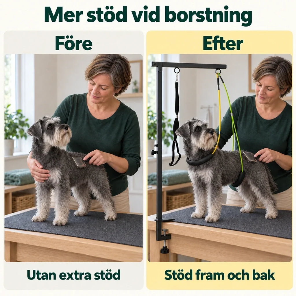 Trimgalge för Hund & Katt – Före och efter borstning med dvärgschnauzer – Djurslottet