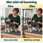 Trimgalge för Hund & Katt – Före och efter borstning med dvärgschnauzer – Djurslottet