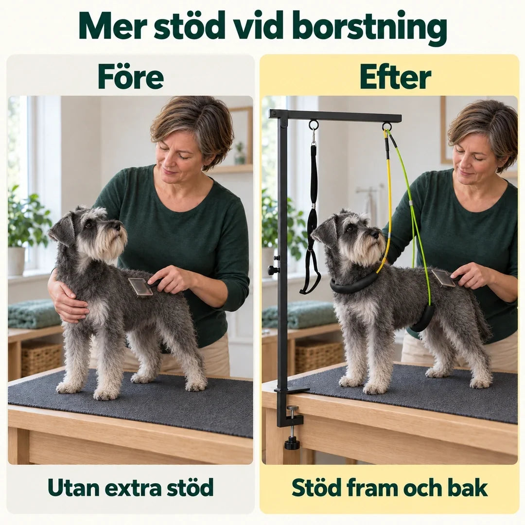 Trimgalge för Hund & Katt – Före och efter borstning med dvärgschnauzer – Djurslottet
