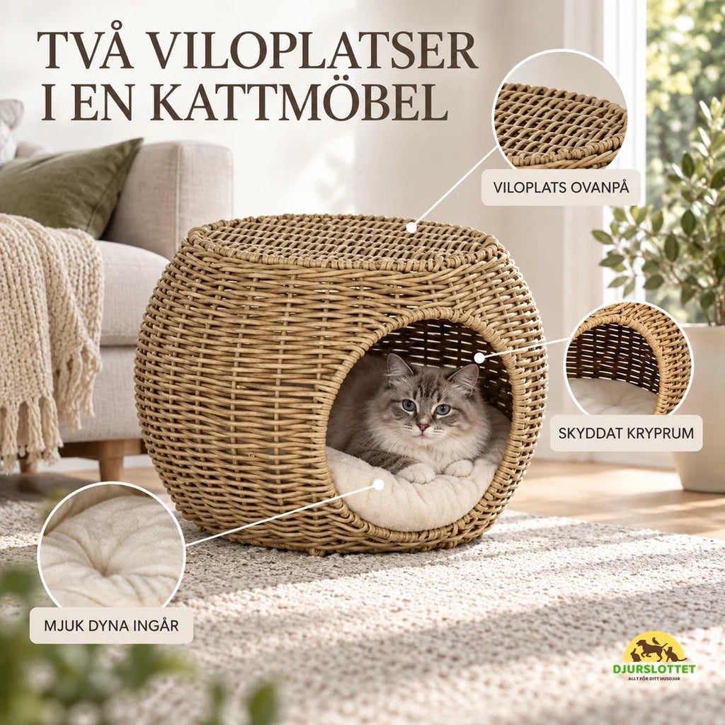 PawHut Katthus med Dyna – Två viloplatser i en kattmöbel – Djurslottet