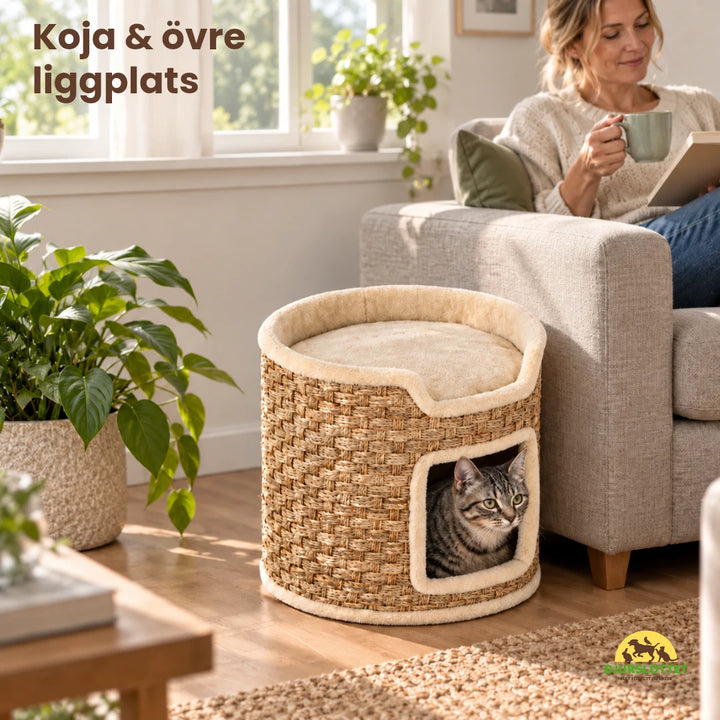 PawHut Kattgrotta med Klösyta – Koja och övre liggplats – Djurslottet