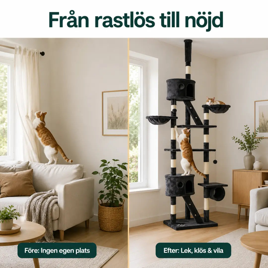 PawHut Klösträd Golv till Tak – Före och efter jämfört med klös på möblerna – Djurslottet