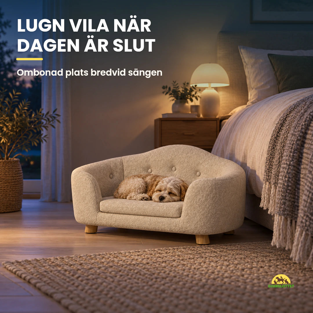 PawHut Husdjurssoffa på Träben med sovande liten hund i sovrum