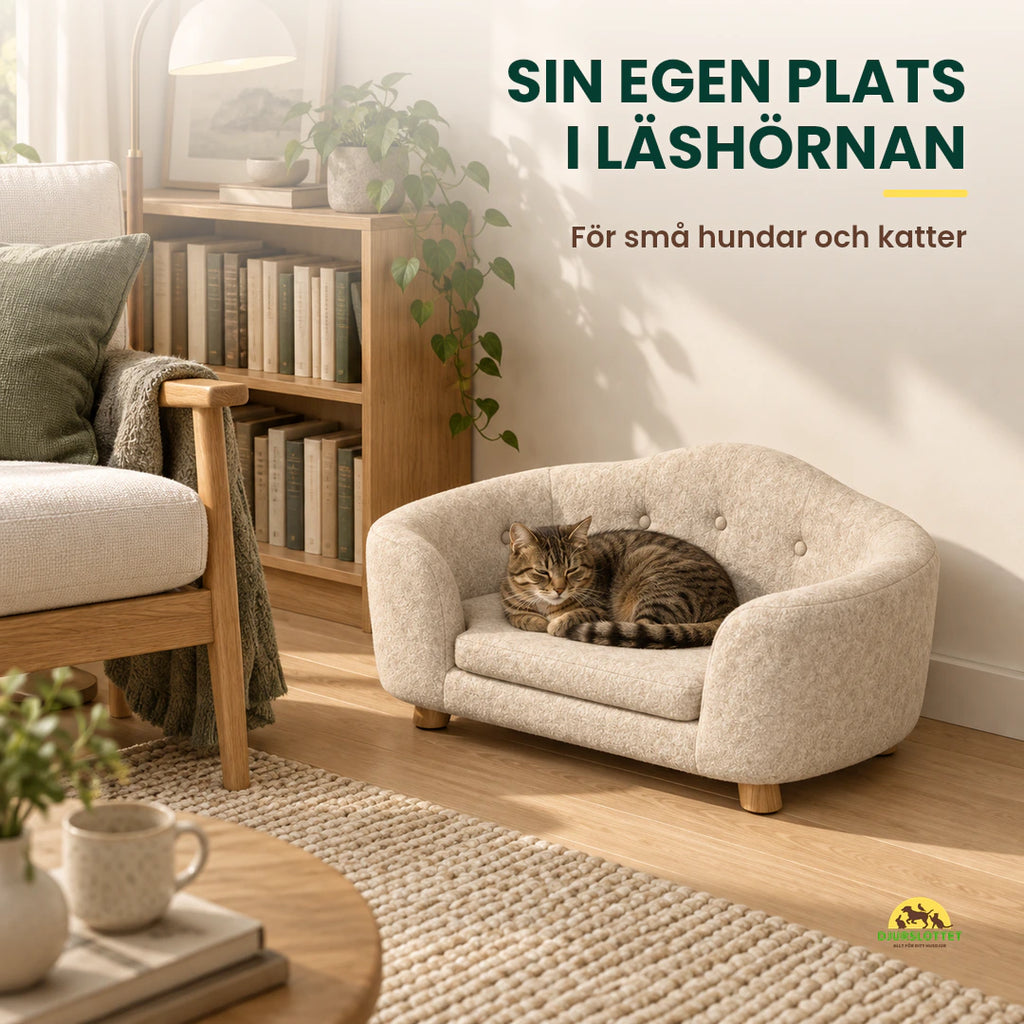 PawHut Husdjurssoffa på Träben med katt i en läshörna