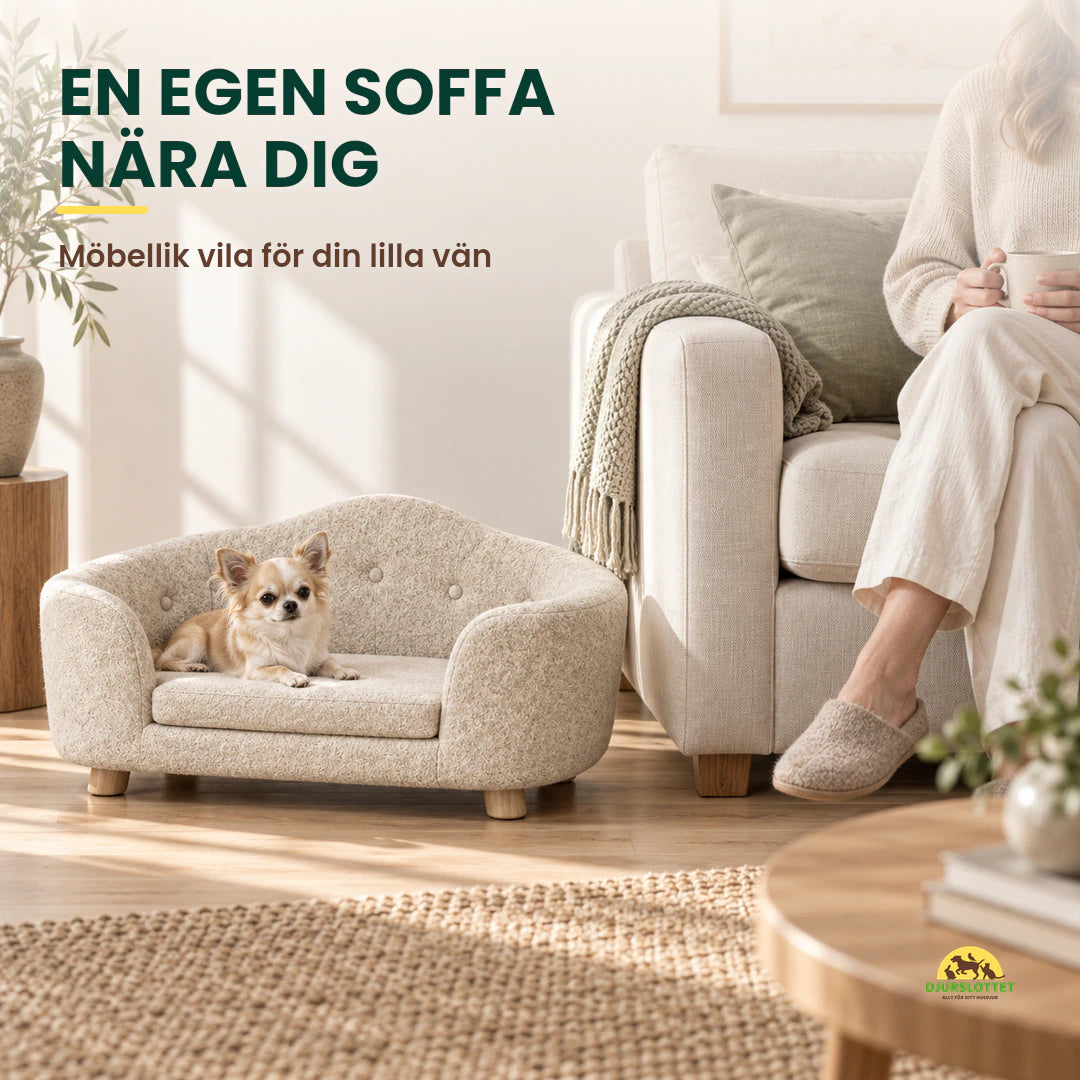 PawHut Husdjurssoffa på Träben i skala bredvid vanlig soffa