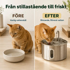 PawHut Vattenfontän för Katt 2,5 L – Före och efter med rinnande vatten – Djurslottet