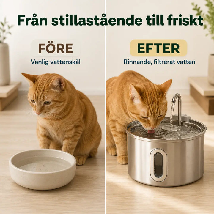 PawHut Vattenfontän för Katt 2,5 L – Före och efter med rinnande vatten – Djurslottet