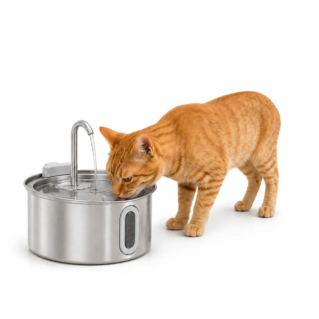 PawHut Vattenfontän för Katt 2,5 L – I rostfritt stål med katt som dricker – Djurslottet