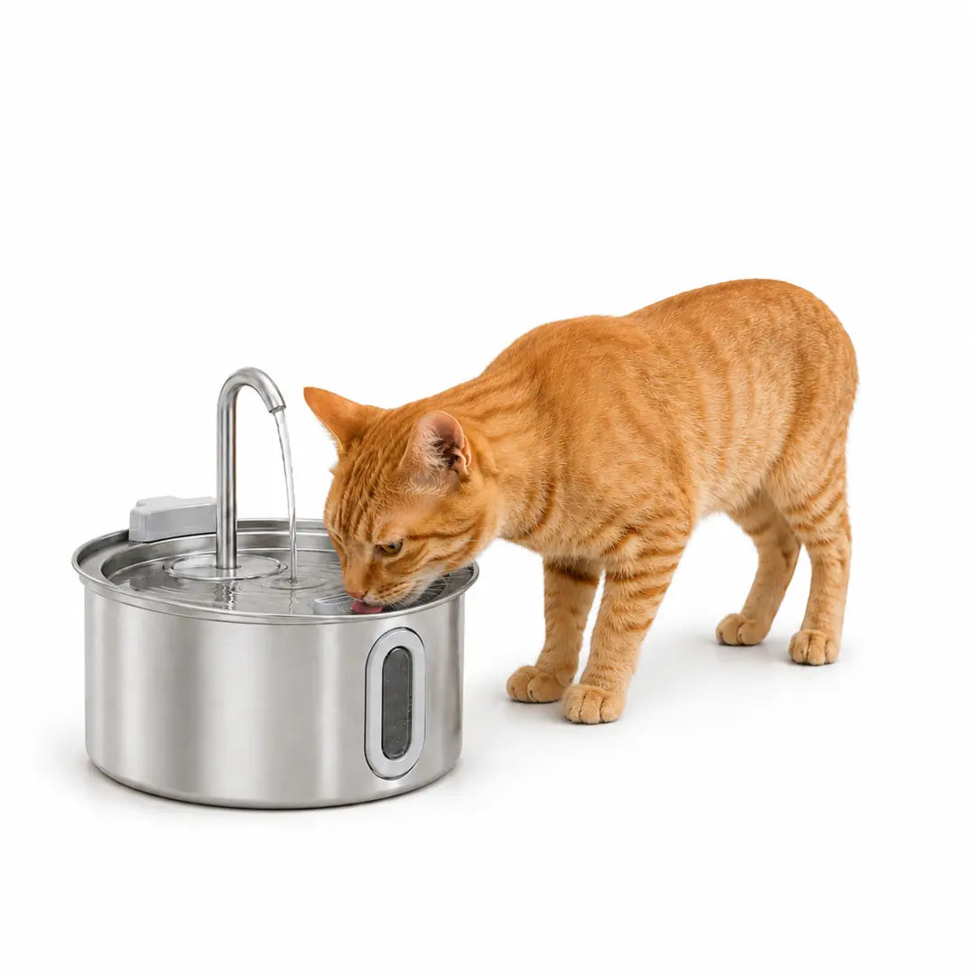 PawHut Vattenfontän för Katt 2,5 L – I rostfritt stål med katt som dricker – Djurslottet