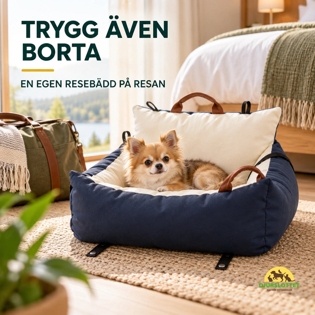 PawHut Hundbilstol använd som resebädd på hotell - Djurslottet