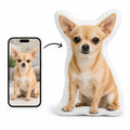 Personlig Husdjurskudde med Foto – 30 cm med chihuahua från mobilbild till kudde – Djurslottet