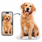 Personlig Husdjurskudde med Foto – 50 cm med golden retriever från mobilbild till kudde – Djurslottet