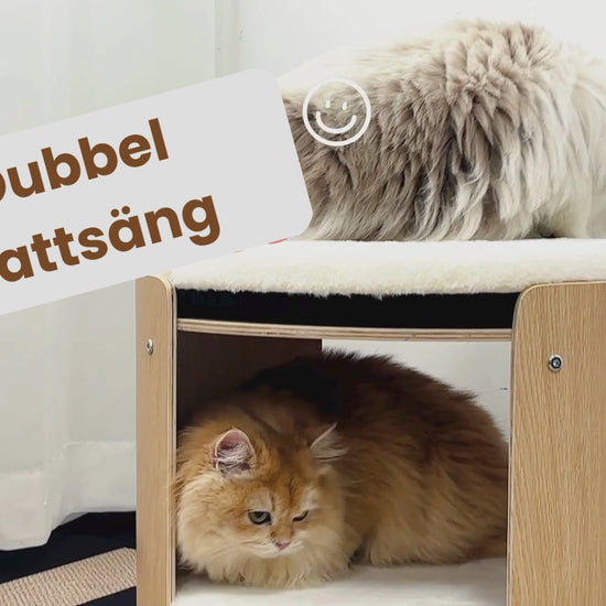 Video av Dubbel Kattsäng - Djurslottet