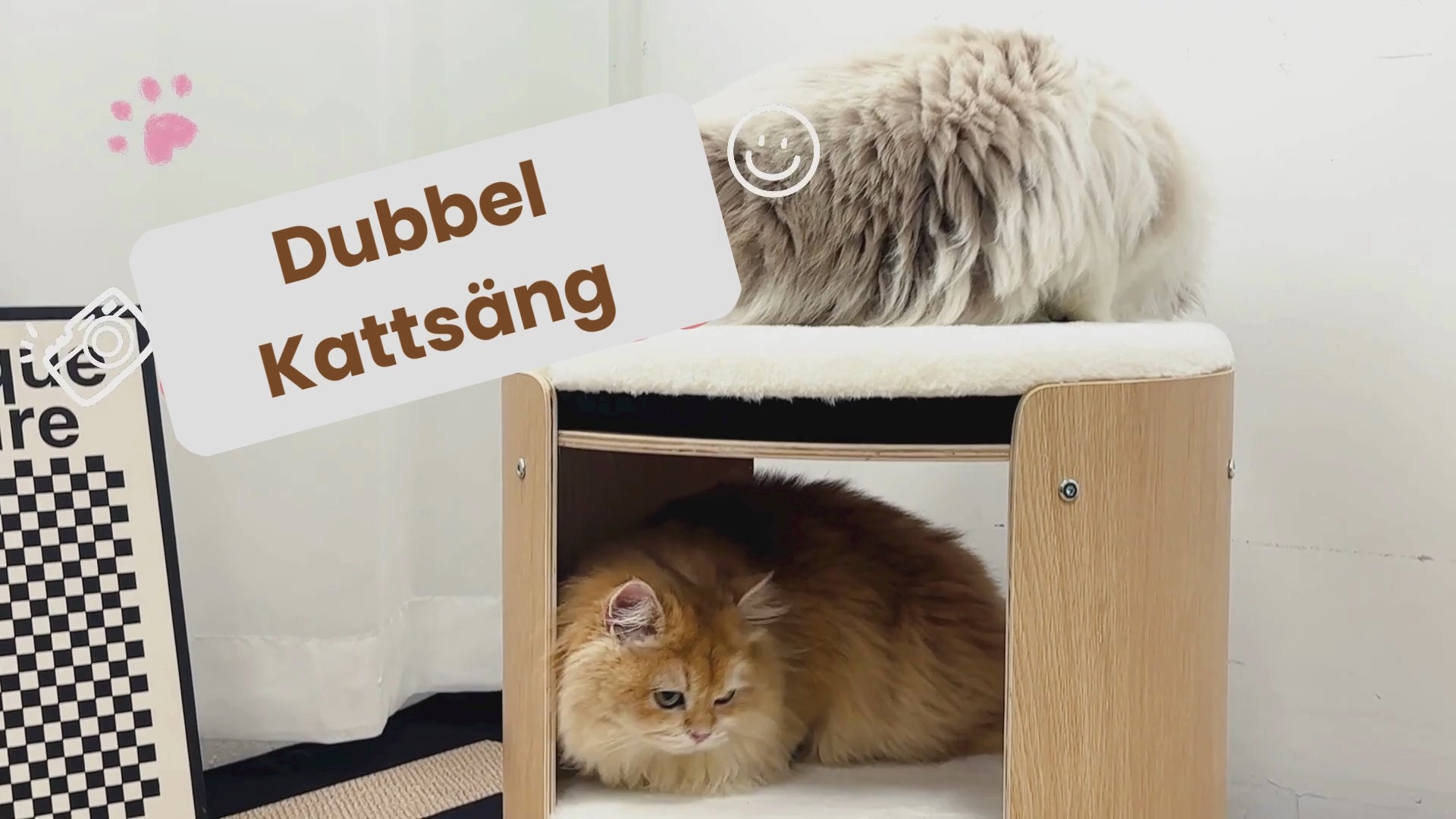 Video av Dubbel Kattsäng - Djurslottet