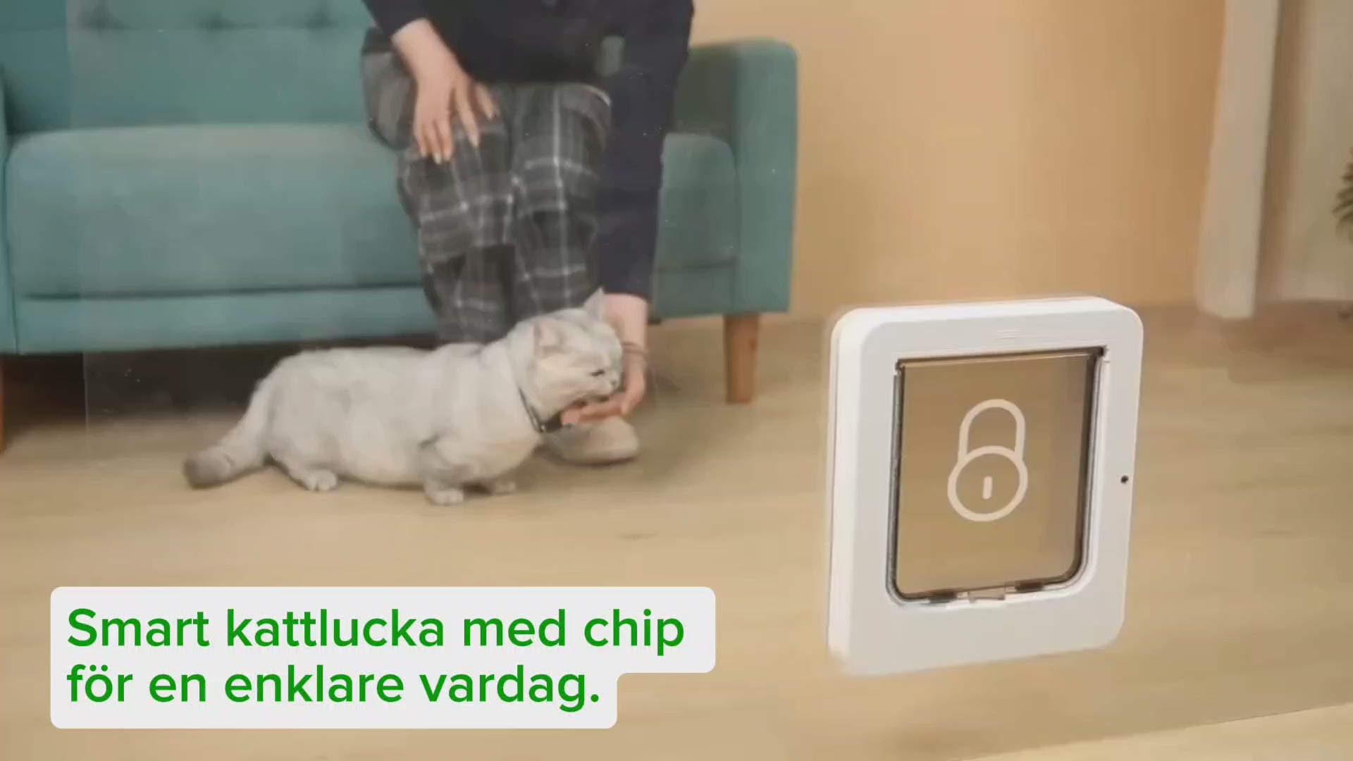Video PetVent Kattlucka med chip - Djurslottet