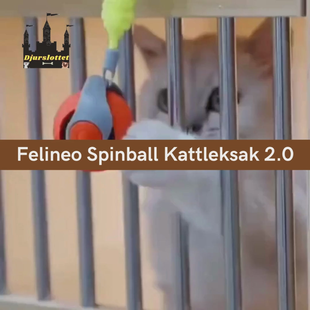 Video av Felineo Spinball Kattleksak 2.0- Djurslottet