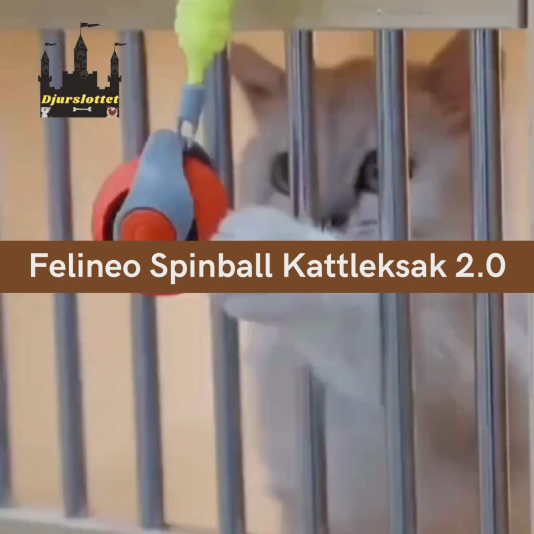 Video av Felineo Spinball Kattleksak 2.0- Djurslottet