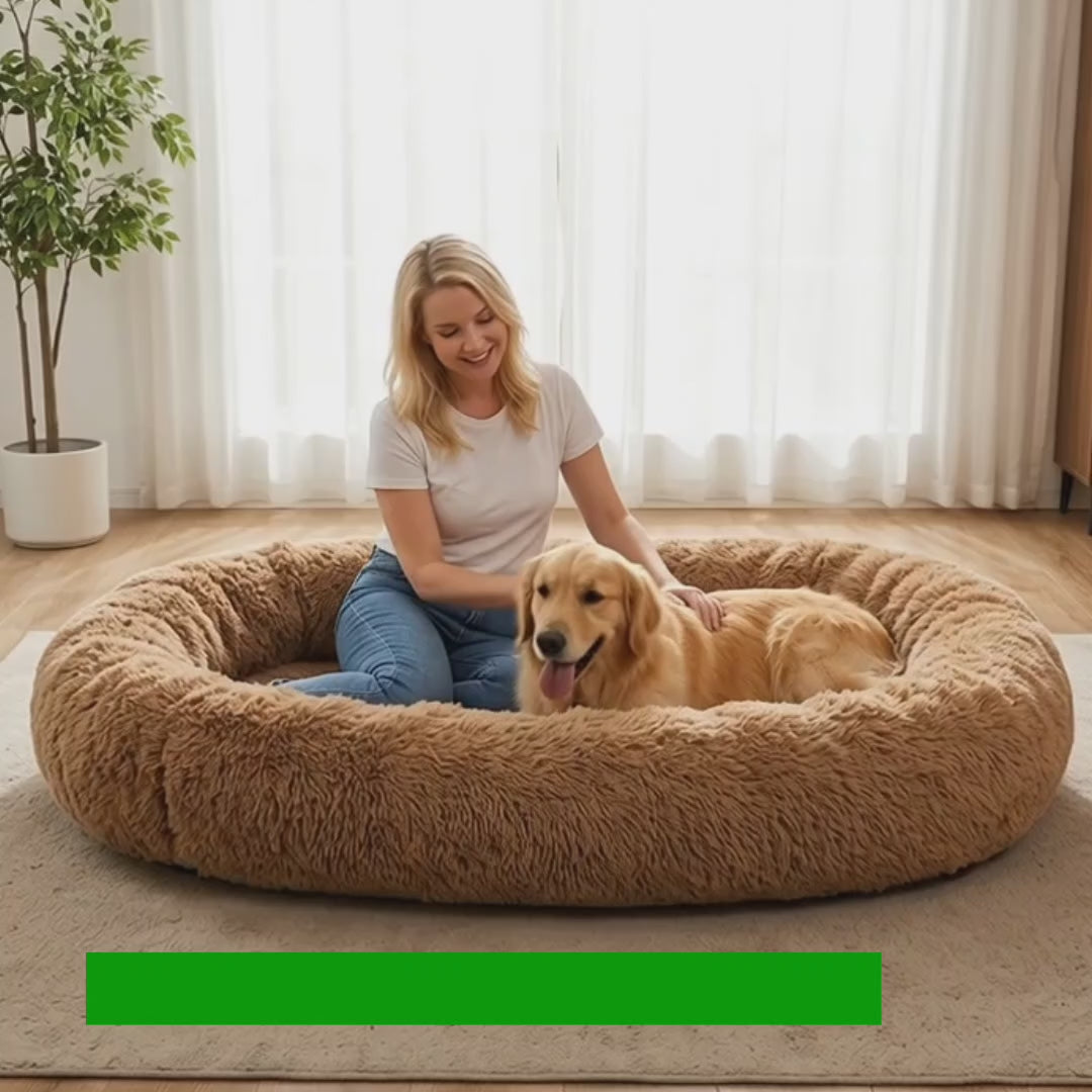 Video av CozyCloud Stor Hundbädd för människor - Djurslottet