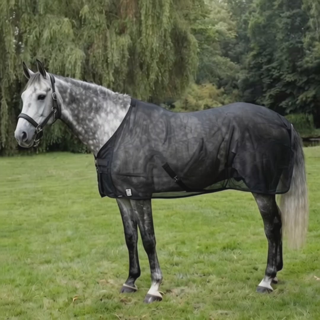 Flugtäcke häst video - Djurslottet