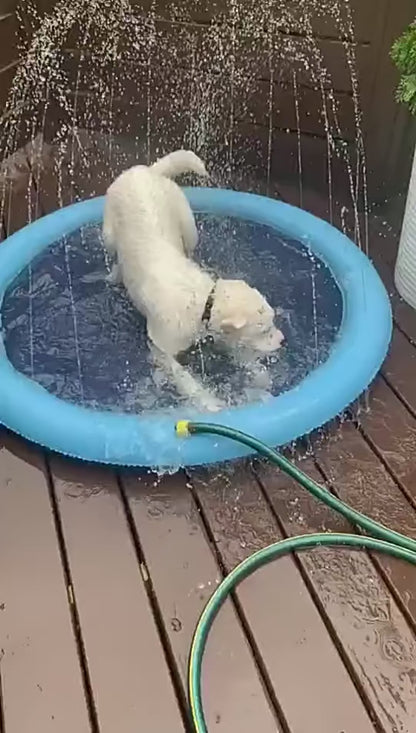 Pawsplash Sprinkler pool för hundar