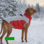 Video av Nordvarm Reflekterande Vinterjacka för Hund - Djurslottet