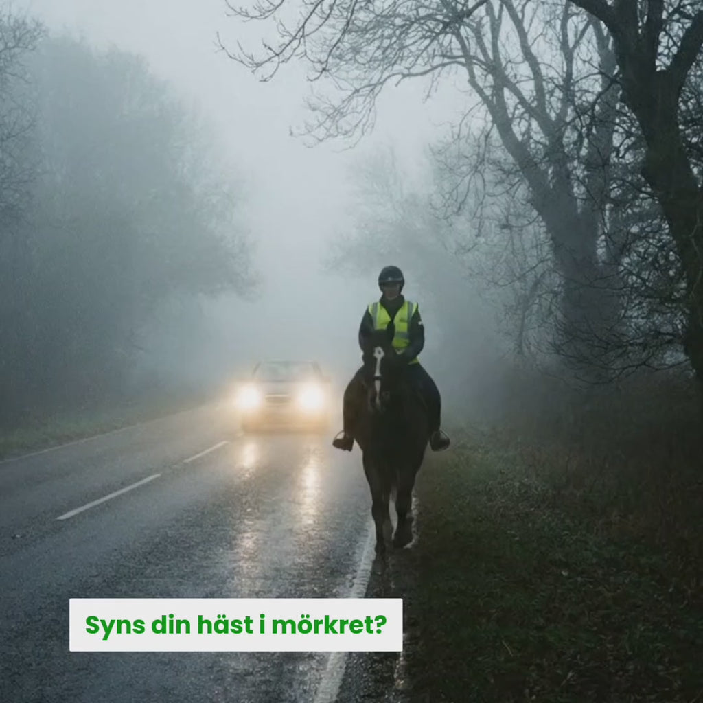Video av Benreflex häst - Djurslottet