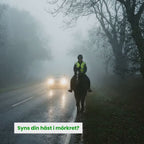 Video av Benreflex häst - Djurslottet