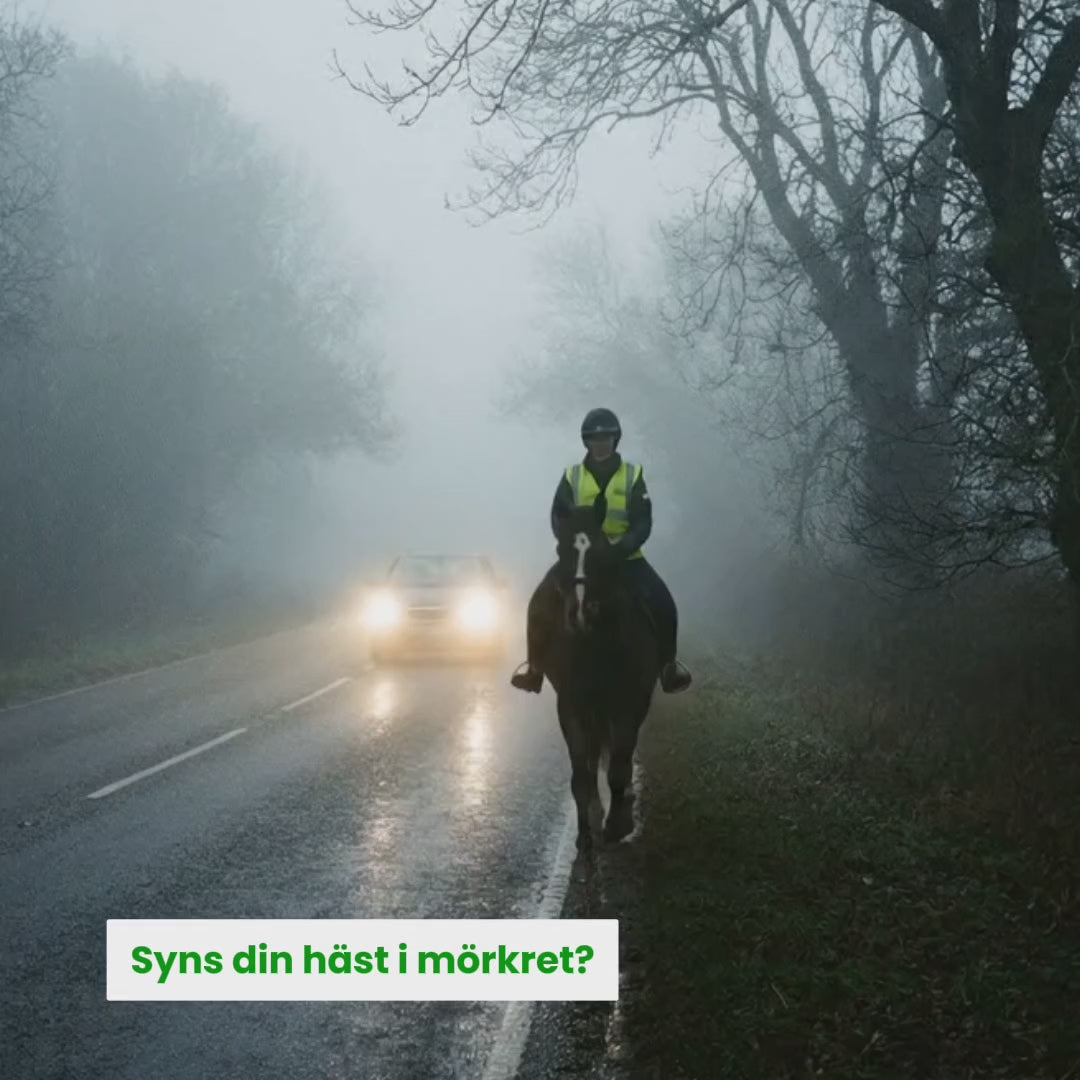 Video av Benreflex häst - Djurslottet