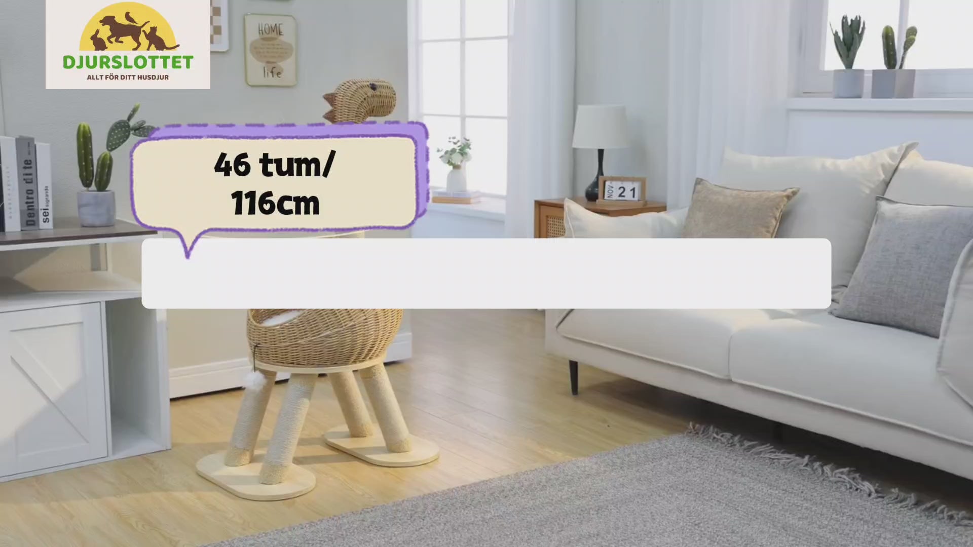 Dinosaurieformat Klösträd - video - Djurslottet