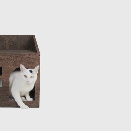 Video av Trähus för katt inomhus - Djurslottet