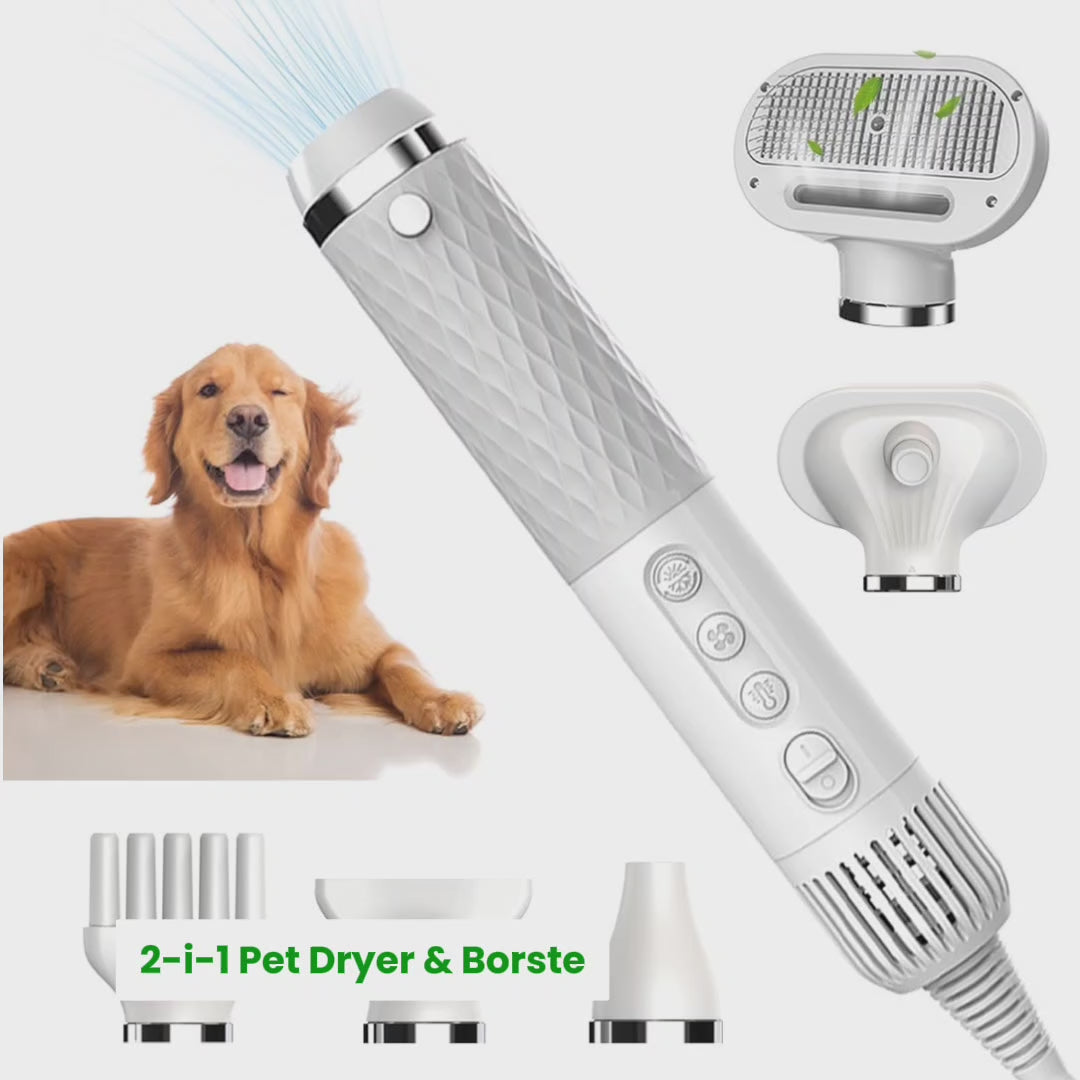 Petdryer Gloss Pälsfön video - torkning och grooming av hund och katt - Djurslottet