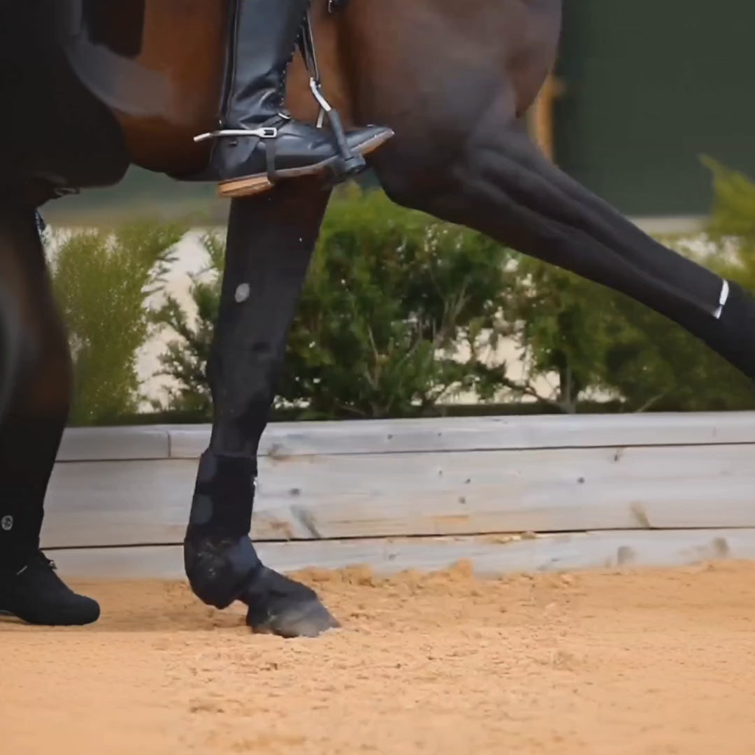 Benskydd för Häst video - Djurslottet