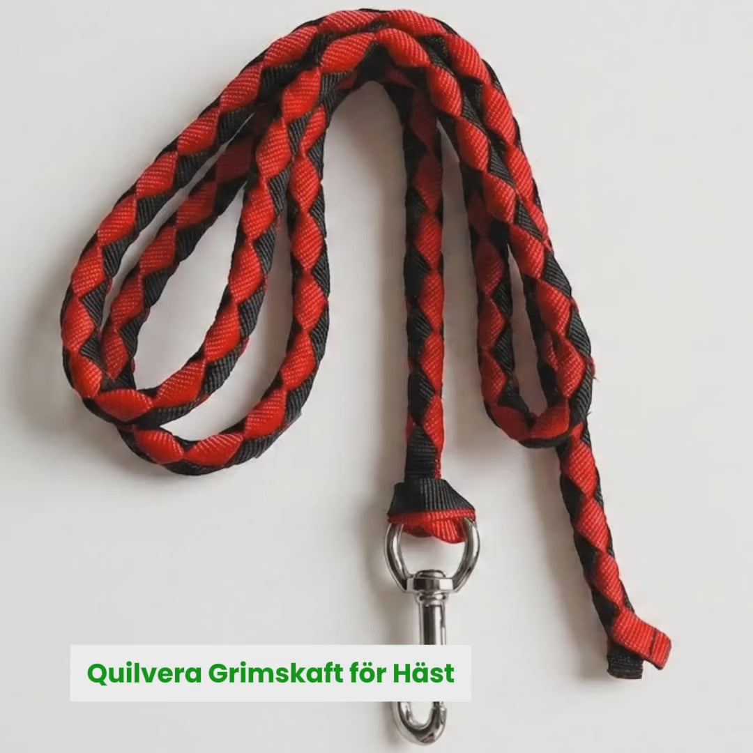 Video av Quilvera Grimskaft - Djurslottet