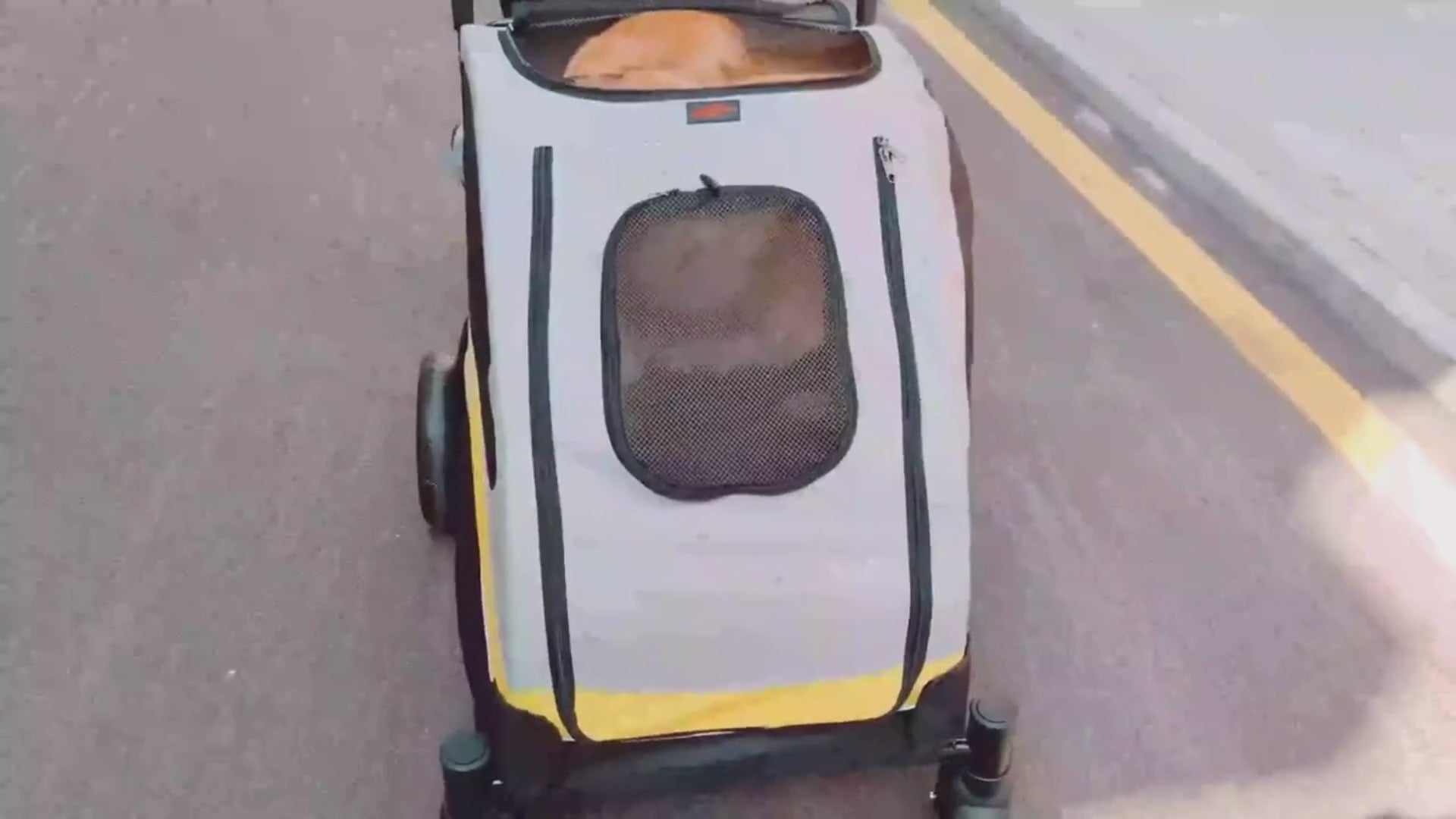 Hopfällbar Hundvagn för Stora Hundar Hopfällbar, bärbar, stötdämpande, ventilationsnät, säkerhetsrem - Djurslottet