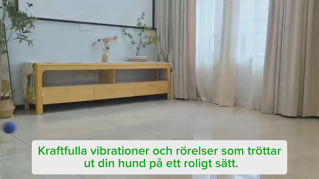 Video av hundboll - Djurslottet