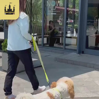 Video av Reflexfit Multifunktionellt Hundkoppel - Djurslottet