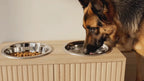 Video av Upphöjd Matskål Hund med Förvaring - Djurslottet