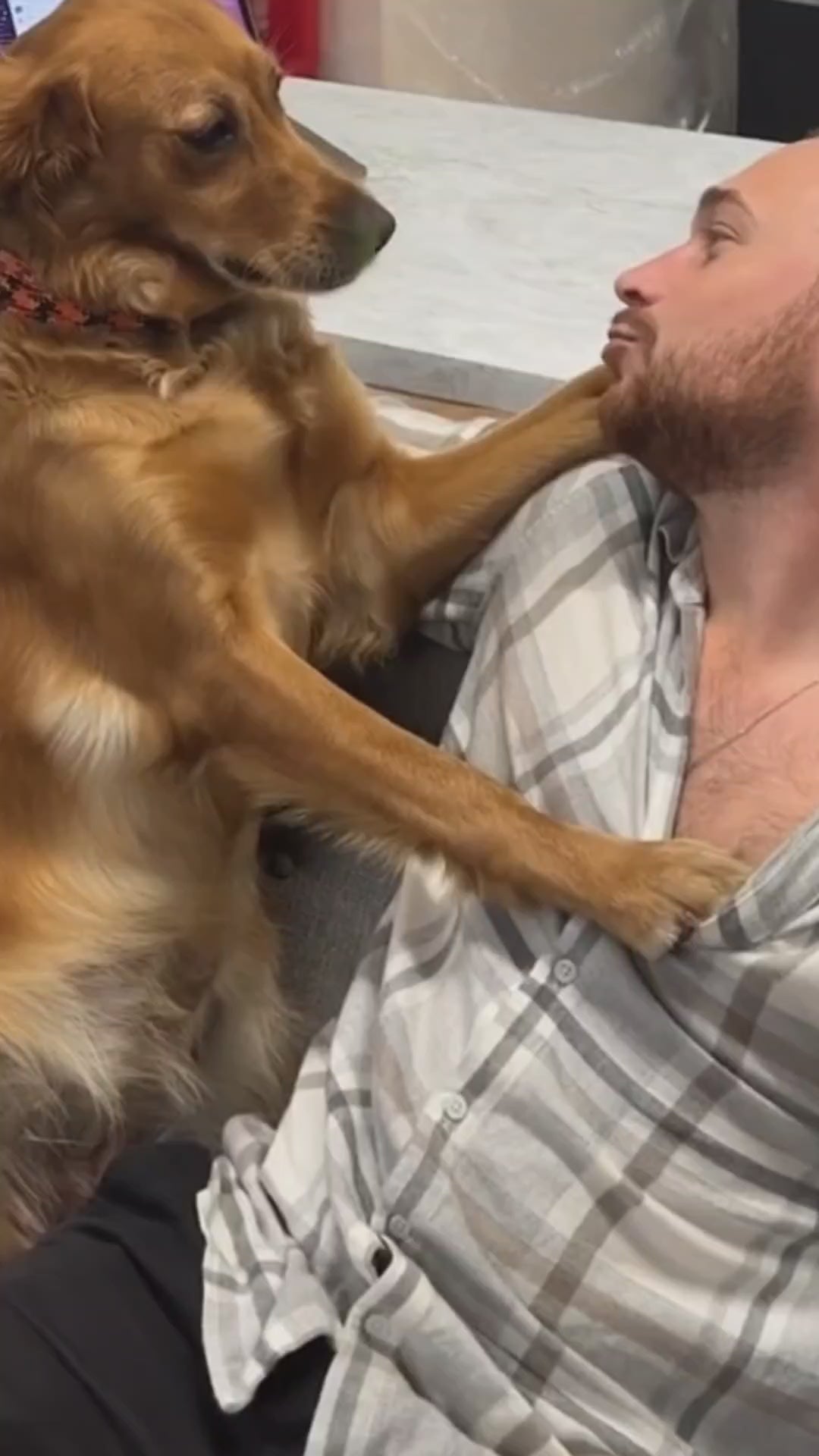 Detixy tandskrapa ultraljud video - Djurslottet