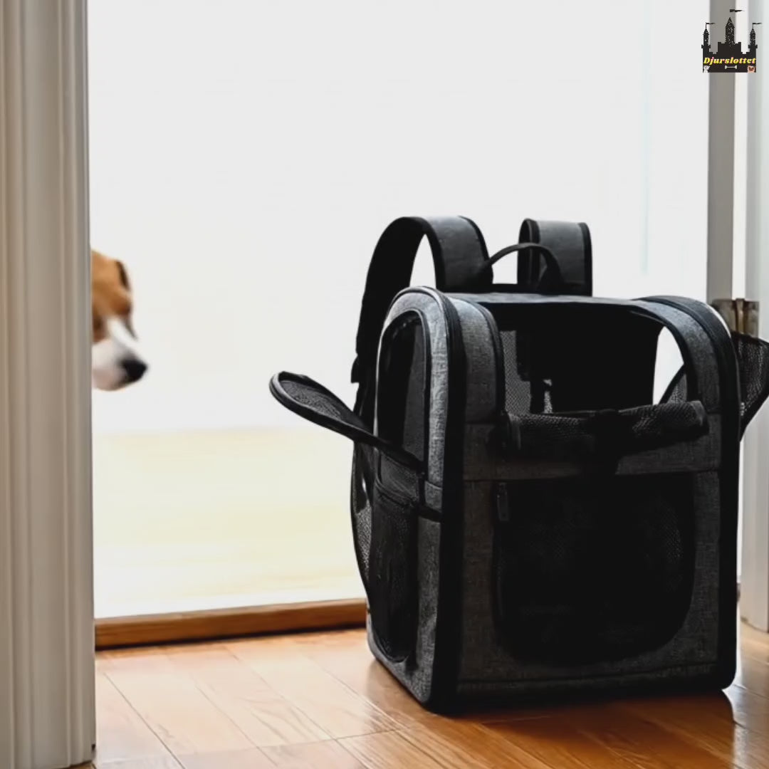 PetPacker Ryggsäck för hund och katt