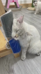 Kattborste Hörn, 
Katt Borste, Katt hörn-massageborste - Djurslottet