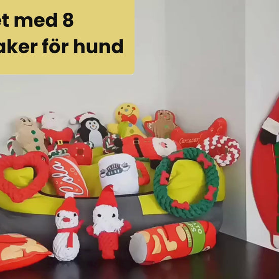 Video av Julset med 8 kampleksaker för hund - Djurslottet