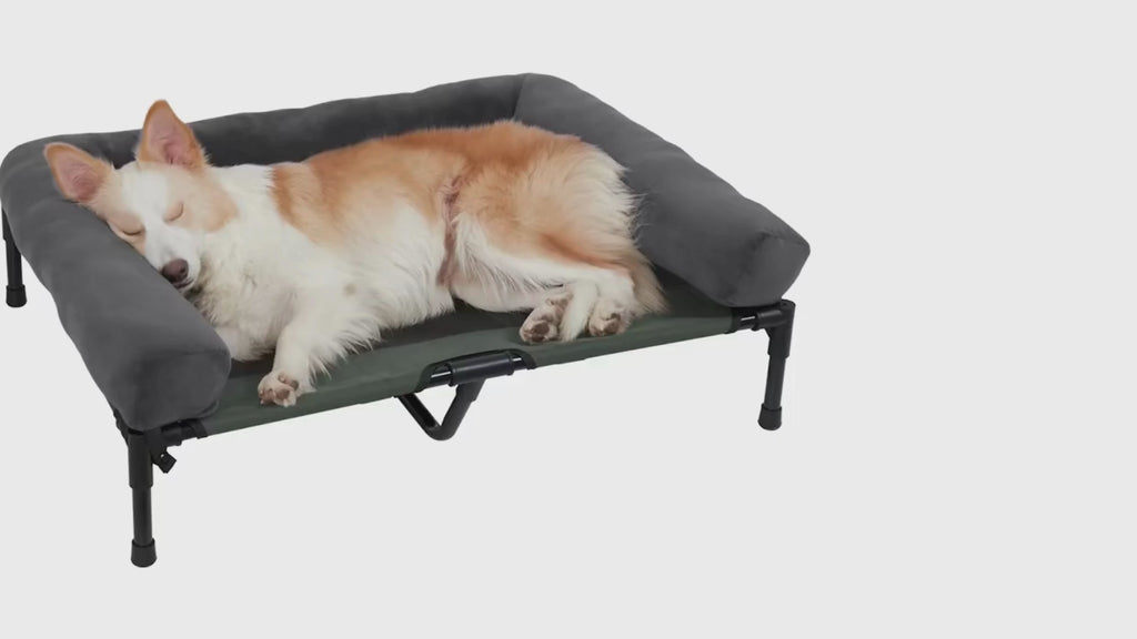 Bingopaws Hundsäng Upphöjd video - Djurslottet