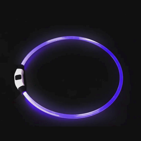 Video av LED Halsband för Hund & Katt - Djurslottet